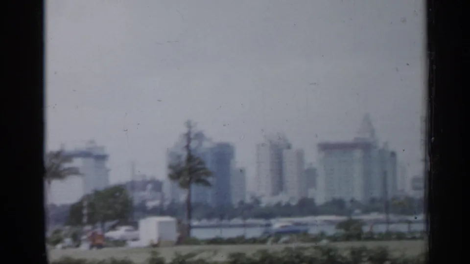 1958 Florida home-movie view of a hazy city skyline with palm trees and roadside foreground elements.