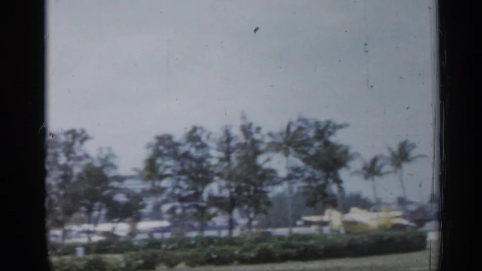 1958 Florida roadside scene with palm trees, cars, and low landscaping near the city waterfront.