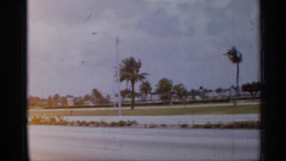 Roadside view in Florida with palm trees, open lawn, low plantings, and no blimp visible in this frame.