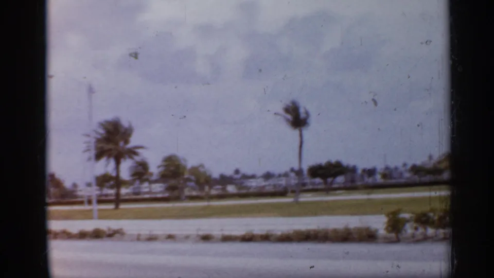 Florida roadside scene from the same 1958 home movie, showing palms, lawn, shrubs, and soft film grain as the vehicle moves past.