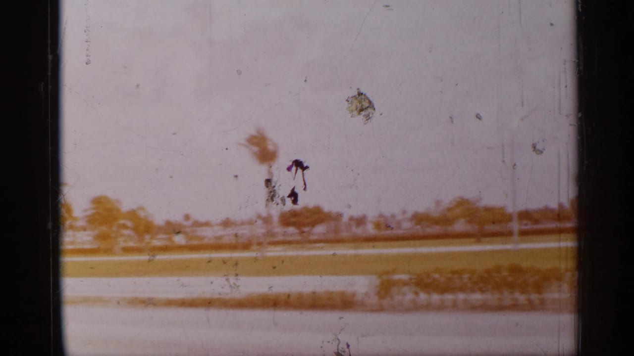 1958 Florida home-movie frame showing palm trees, a low roadside strip, and bright coastal light from a moving viewpoint.