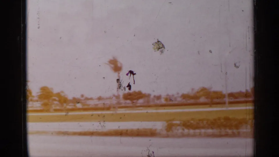 1958 Florida home-movie frame showing palm trees, a low roadside strip, and bright coastal light from a moving viewpoint.