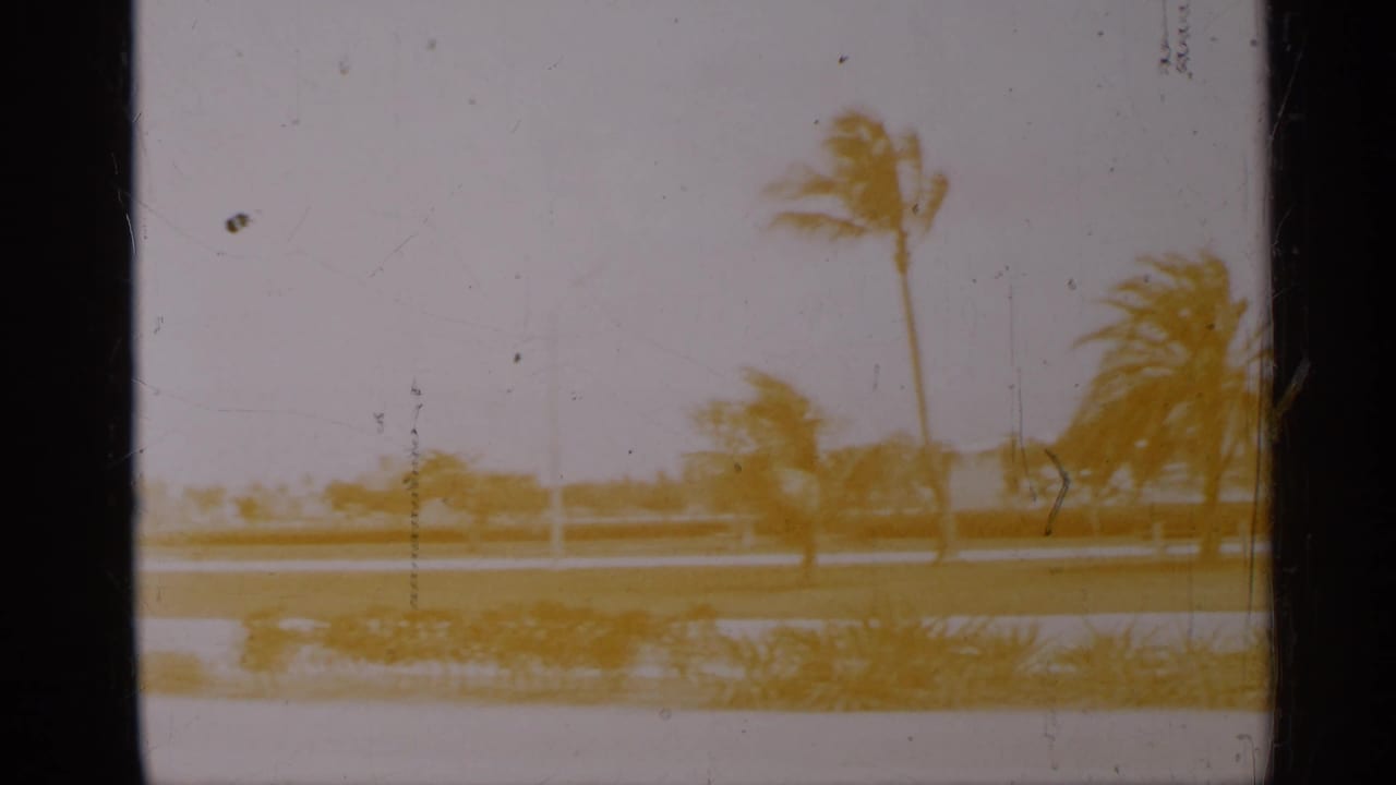 Faded 8mm view of a Florida coastal road area with palms, low waterline, and hazy sky, likely filmed from a car.