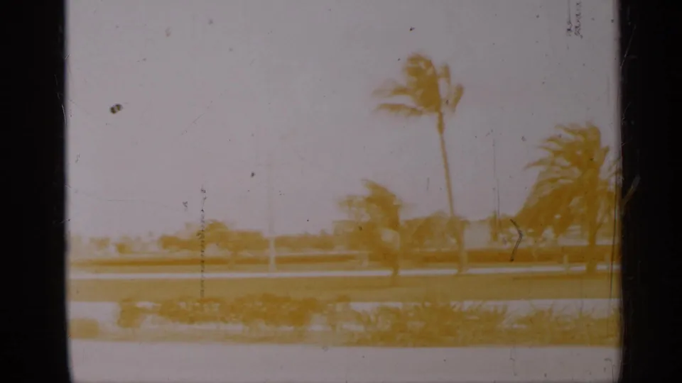 Faded 8mm view of a Florida coastal road area with palms, low waterline, and hazy sky, likely filmed from a car.