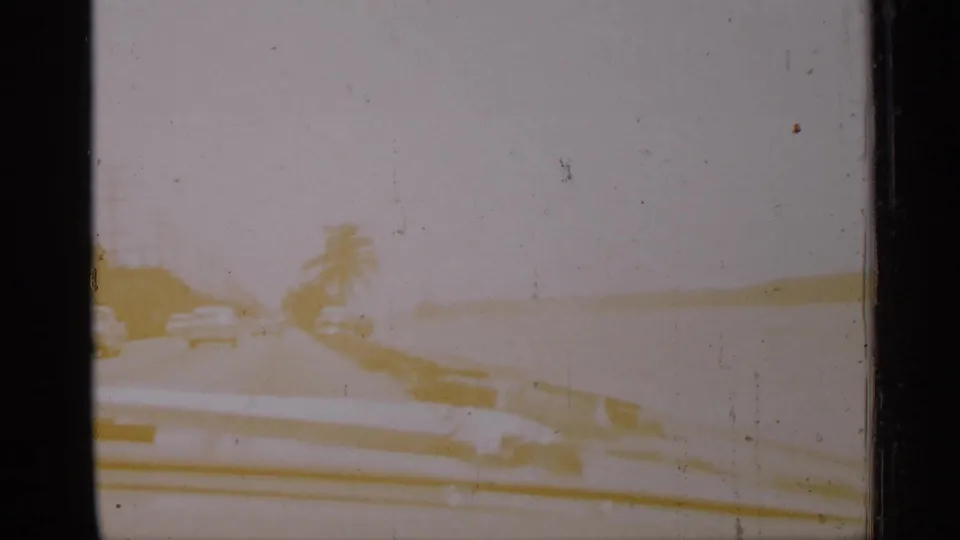 Bright, overexposed 1958 Florida driving view with palm trees ahead and part of the filming car visible at the bottom.