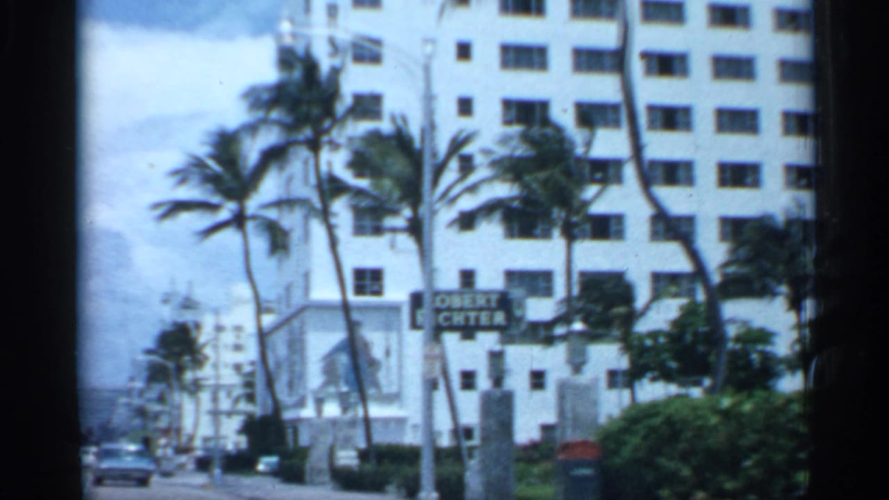 Palm-lined street with a street sign, white multi-story building, cars, and sidewalks.