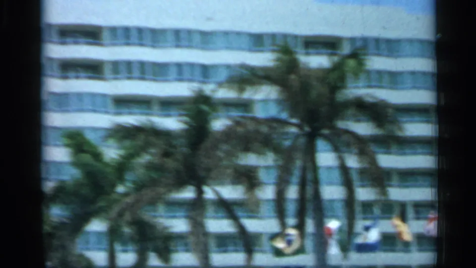 1958 Florida street-level frame with several palms in front of a curved high-rise and softened 8mm color.