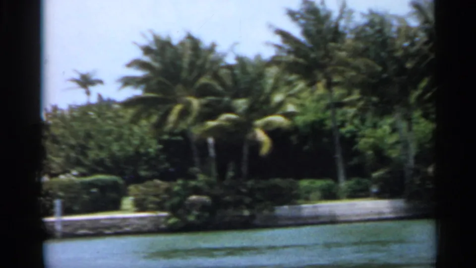 1958 Florida waterfront frame with dense tropical planting, palm fronds, trimmed hedges, canal water, and a low seawall.