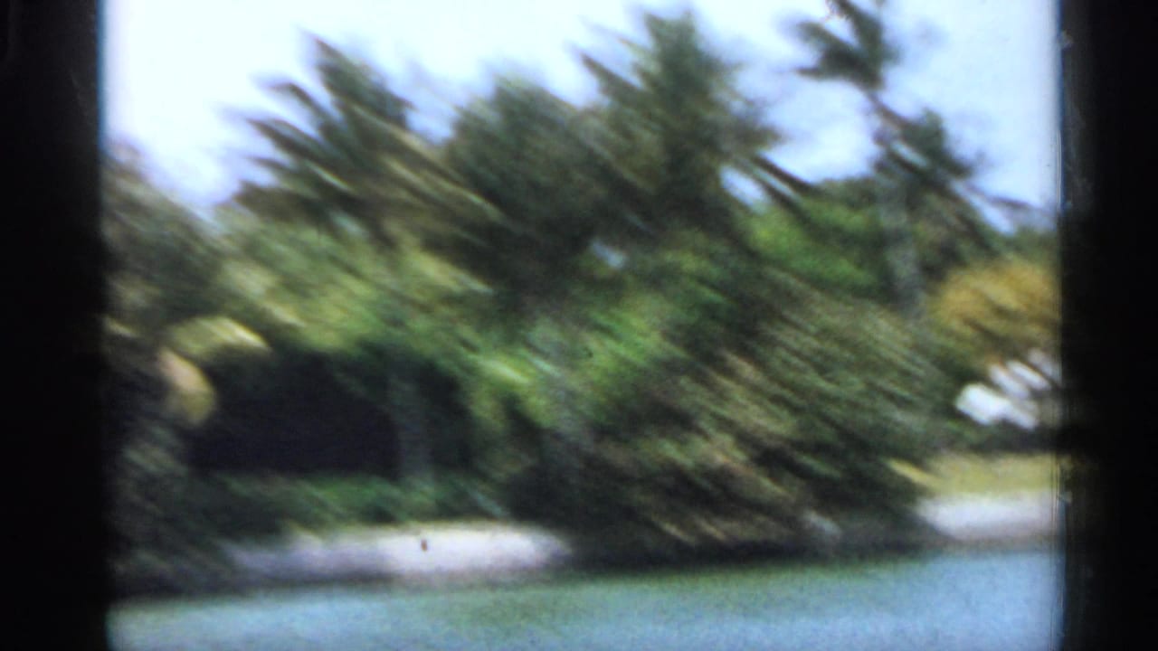 1958 Florida home-movie view of palms and a bright tropical exterior seen through a dark window frame.