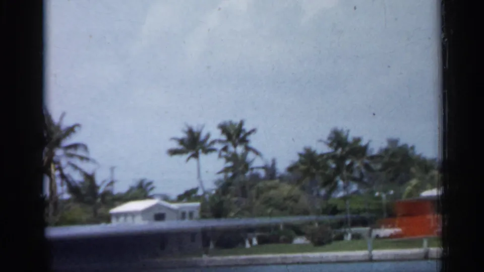 1958 Florida exterior with a low white building, palms, hedge, and bright sky seen through a window opening.