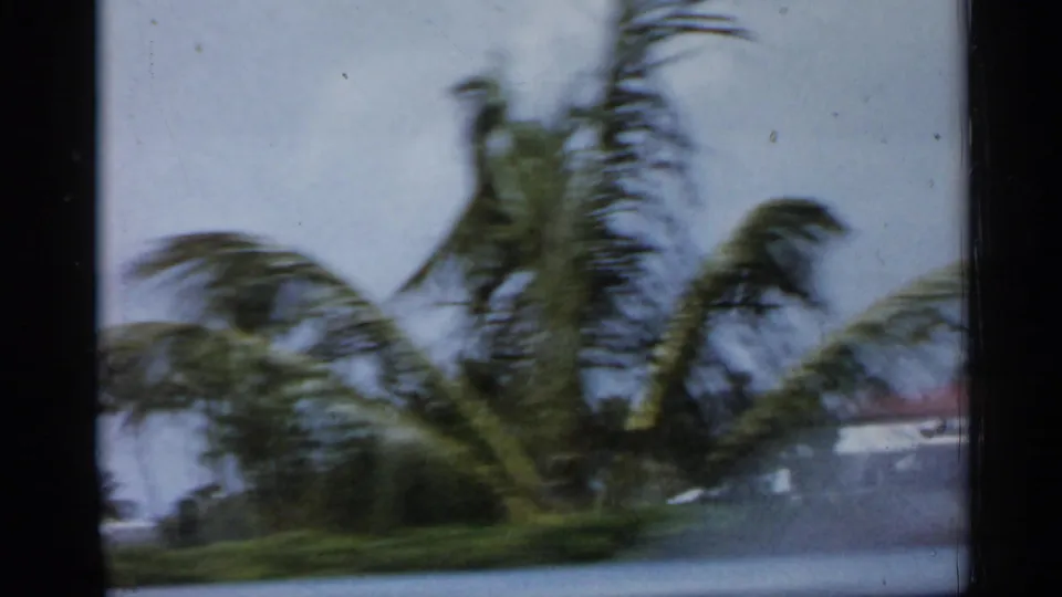 Soft 8mm Florida frame with a blurred palm, pale sky, and low building glimpsed through the window.
