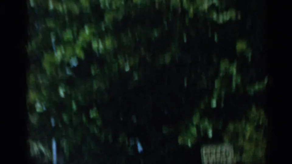 1958 Florida 8mm frame showing shadowed palm foliage and roadside greenery passing in heavy motion blur.