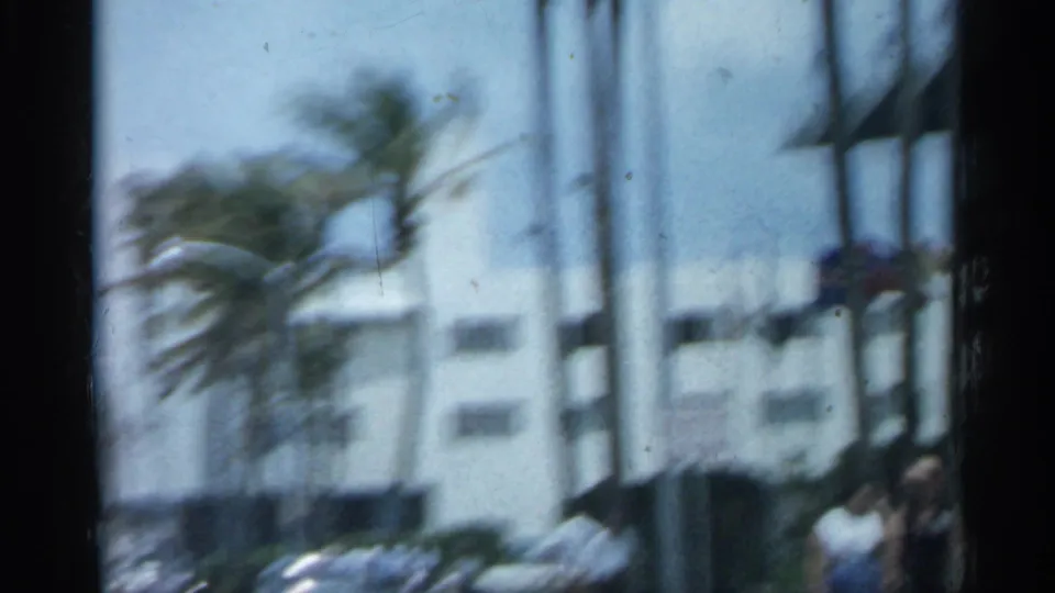 1958 Florida street view of palms and a white building exterior, with indistinct pedestrians near the right edge.