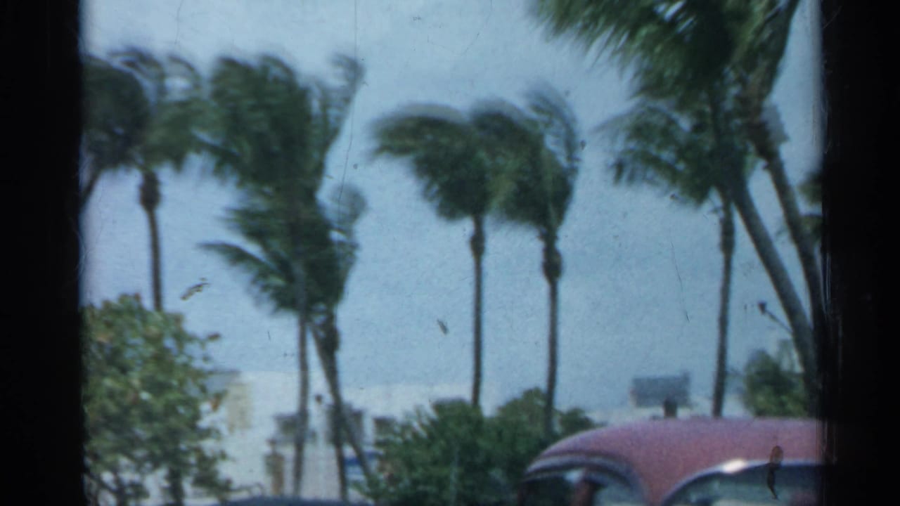 1958 Florida 8mm frame with palm trees bending in strong wind and a partly visible parked car along the edge.