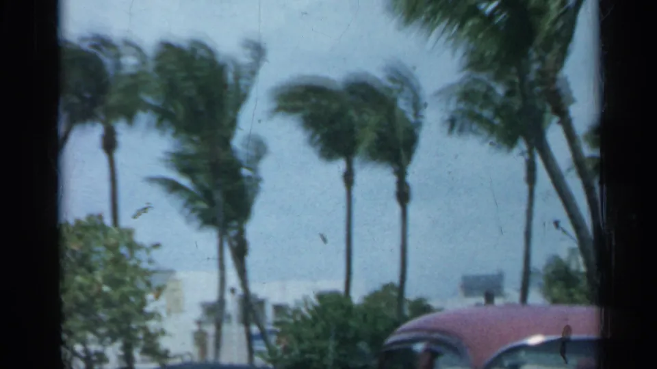 1958 Florida 8mm frame with palm trees bending in strong wind and a partly visible parked car along the edge.
