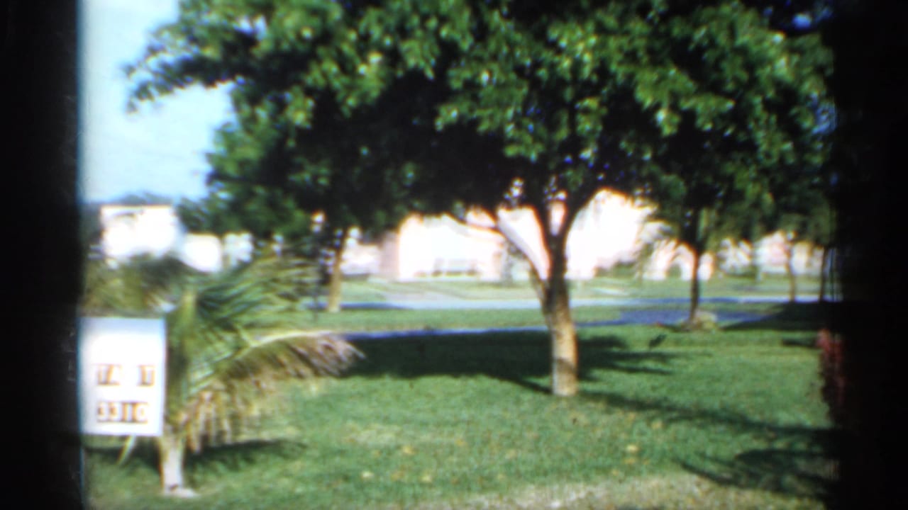 1958 Florida home-movie frame showing a sunny lawn, large leafy trees, distant low buildings, and dark 8mm frame borders.