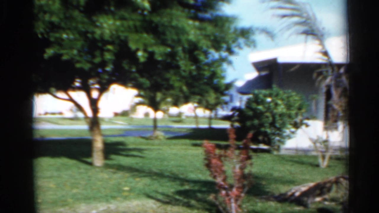 White house beside a green lawn with trees, shrubs, and a palm frond at the right edge.
