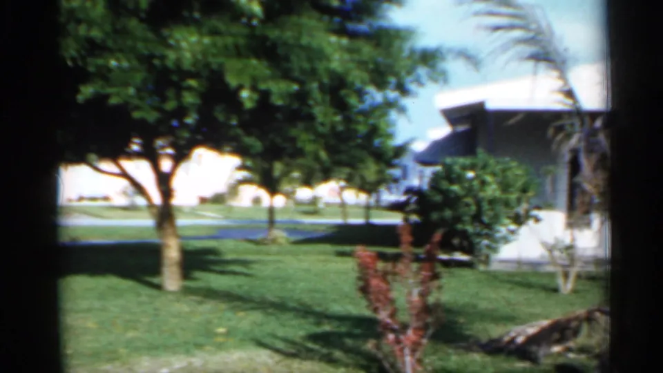 1958 Florida frame with a white low-roof house, manicured lawn, shade trees, shrubs, and palm foliage in bright sun.