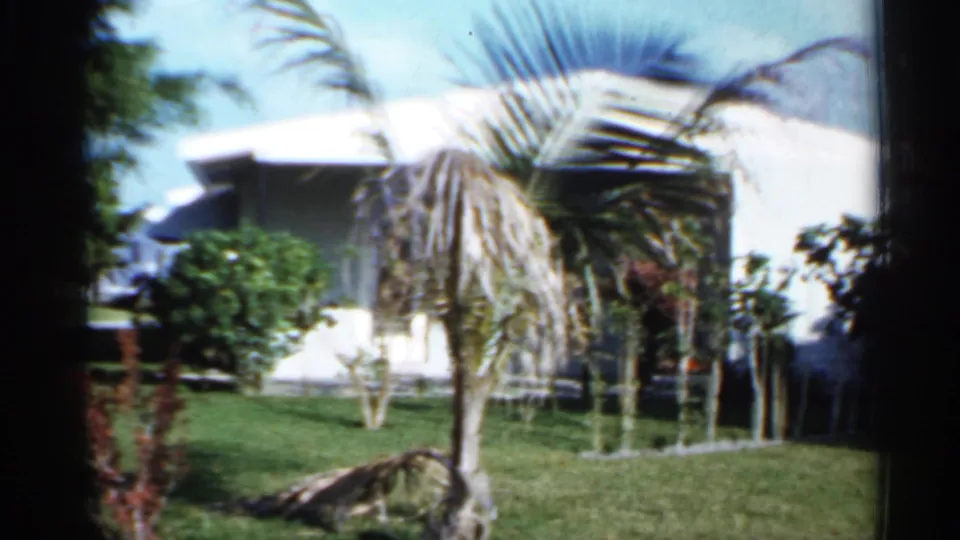 1958 Florida home-movie frame showing a white residential exterior, palm tree, trimmed shrubs, lawn, and soft 8mm color.