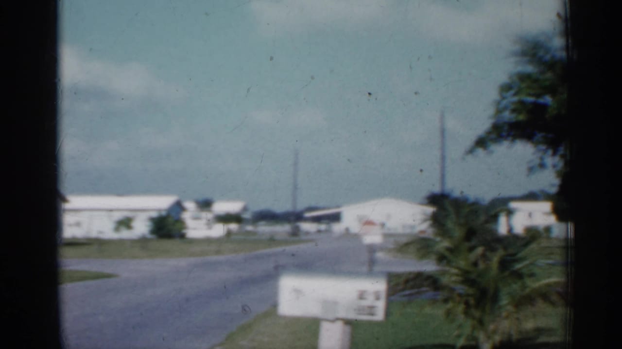 1958 Florida residential street scene with white houses, a paved road, palm foliage, lawns, and a roadside mailbox.