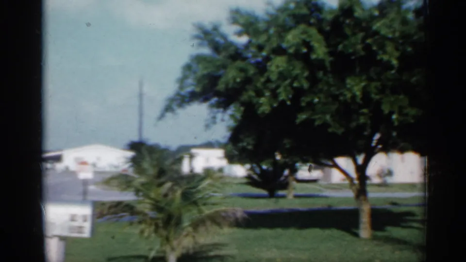 1958 Florida home-movie frame showing a lawn, palm tree, shade tree, white houses, a road, and a mailbox.