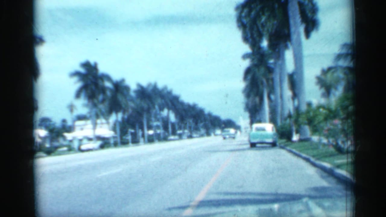 1958 Florida home-movie frame showing a forward view down a sunny palm-lined boulevard with cars on the road.
