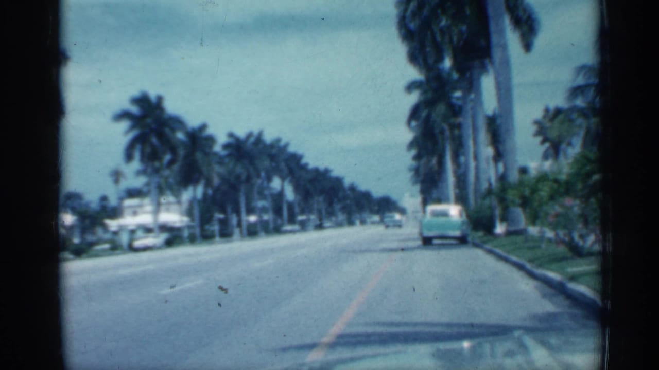1958 Florida street-driving frame with tall palms, a broad sunny roadway, and a light green mid-century car at right.