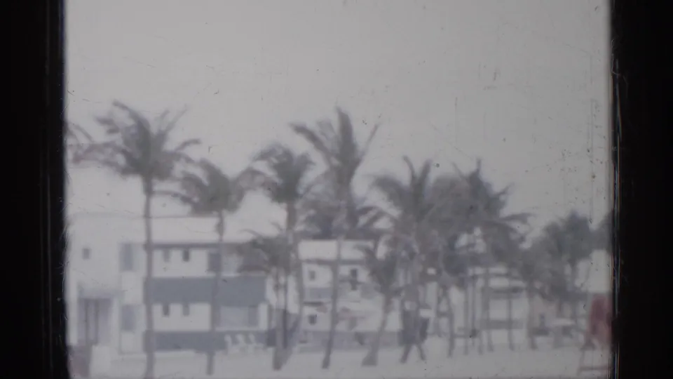 1958 Florida 8mm frame showing palm trees bent by wind near low beachfront buildings through haze and soft focus.