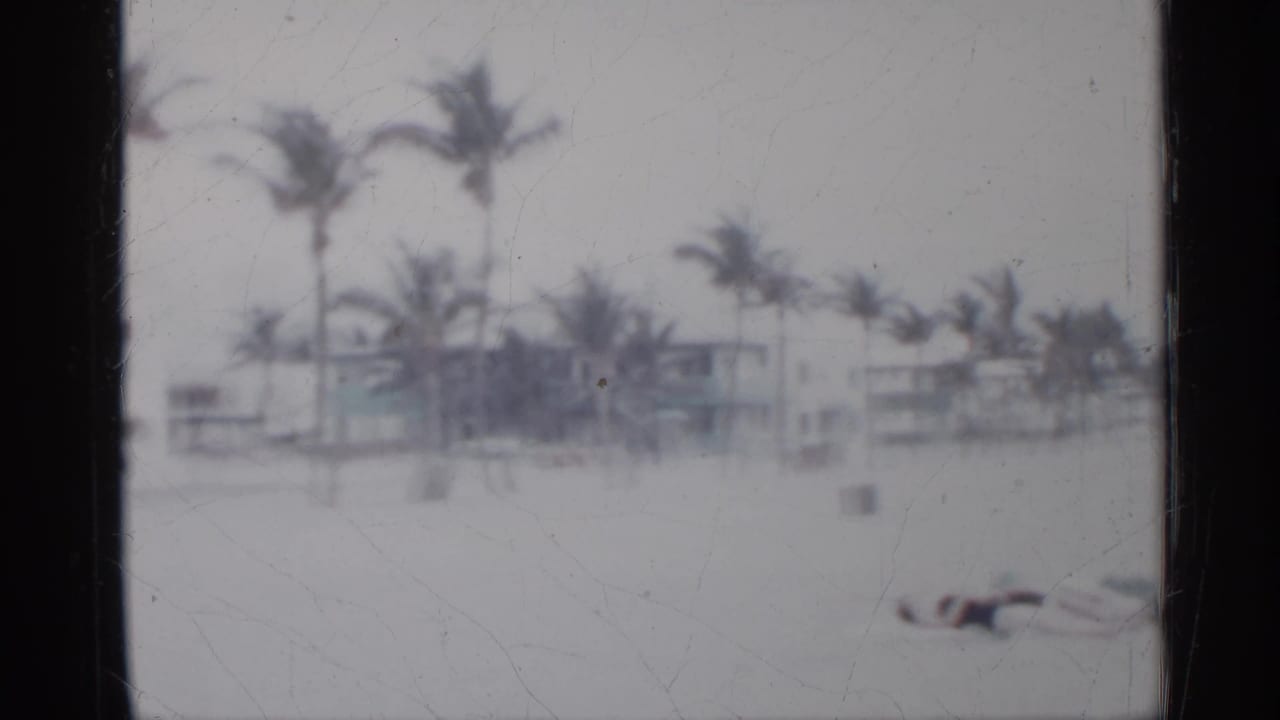 1958 Florida beach view with palms, pale sand, low-rise buildings, and one distant beachgoer lying near the lower center.