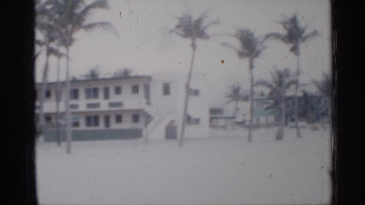 1958 Florida shoreline building framed by palm trees, pale sand, and a visible exterior stairway in soft 8mm focus.