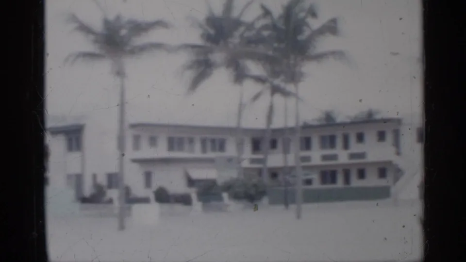 1958 Florida beach houses or resort buildings behind tall palms, hedges, and a washed sandy foreground on 8mm film.