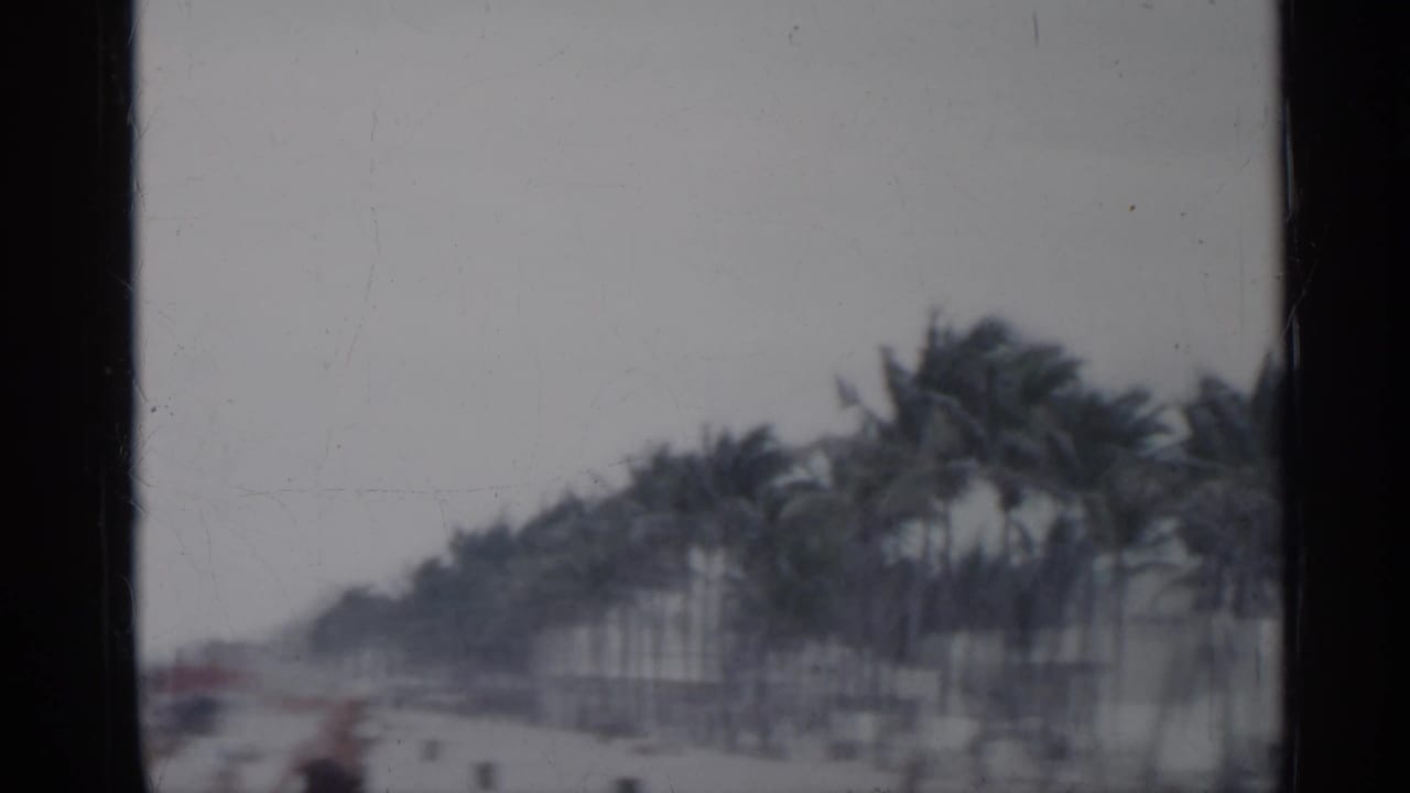 Soft 8mm view of a Florida beachfront lined with palm trees, with distant people or objects along the sand and walkway.