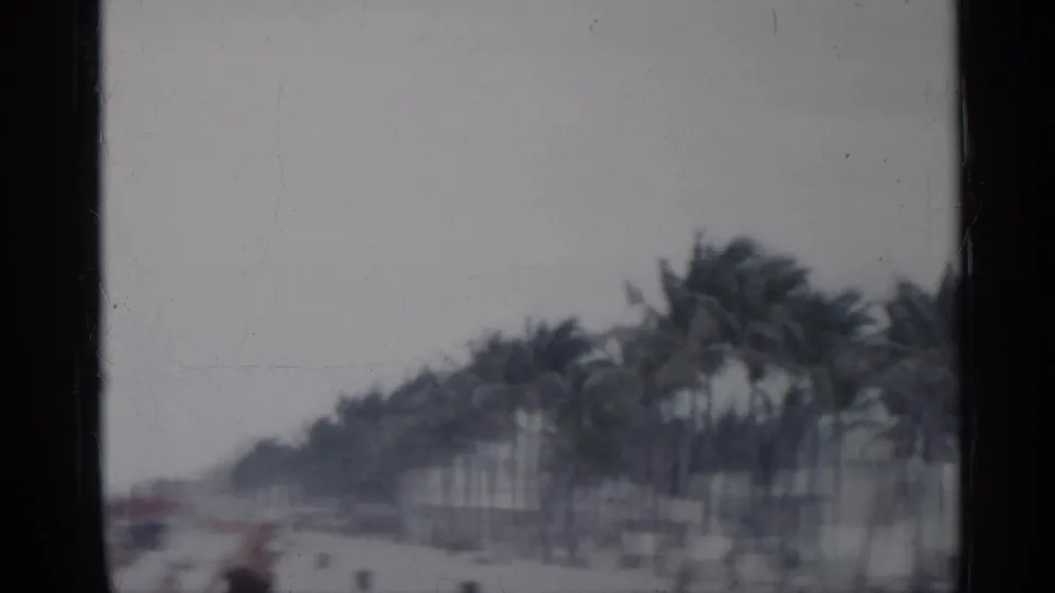Soft 8mm view of a Florida beachfront lined with palm trees, with distant people or objects along the sand and walkway.
