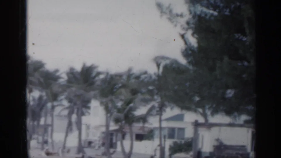 1958 Florida beachfront view with palms, a low building, possible bicycles or beach equipment, and people in the distance.