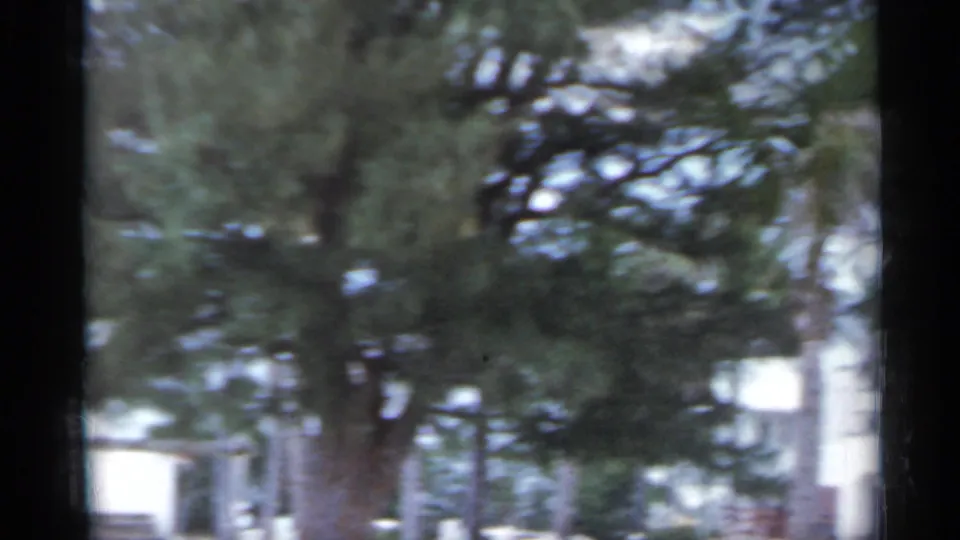 Handheld 8mm frame of trees and nearby beachfront structures in Florida, with motion blur and soft exposure.