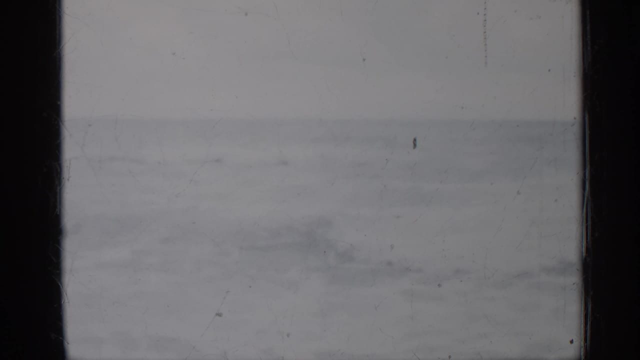 1958 Florida 8mm frame with gentle ocean swell, pale sky, soft focus, and vertical gate borders from the physical film scan.