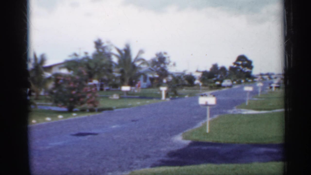 Paved suburban street with lawns, mailboxes, palm trees, and single-story homes.