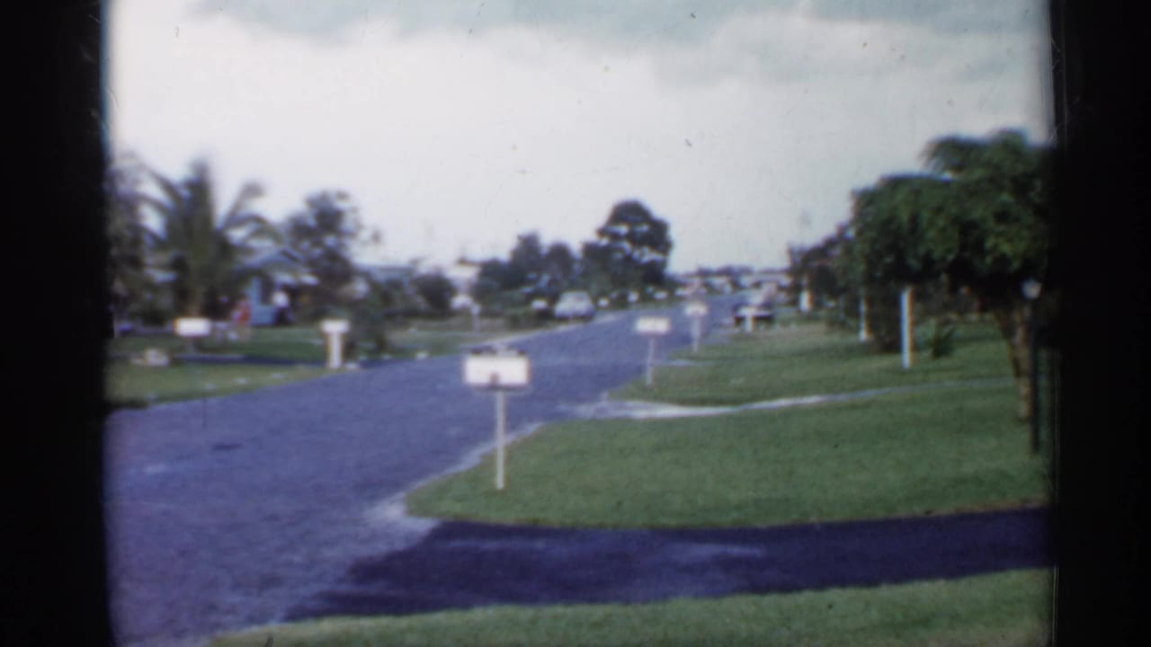 Residential street and lawns with a mailbox, palms, shrubs, and distant houses.