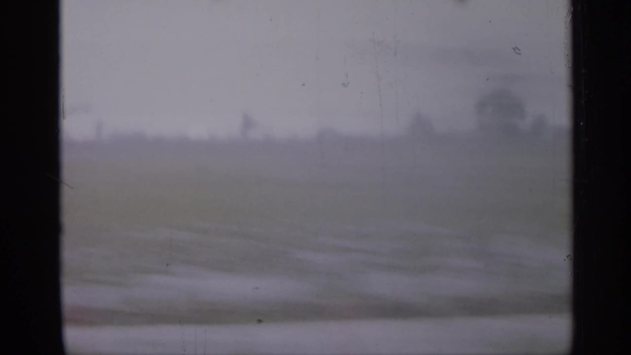 Open field and distant tree line seen through a vehicle window with dark vertical edges.