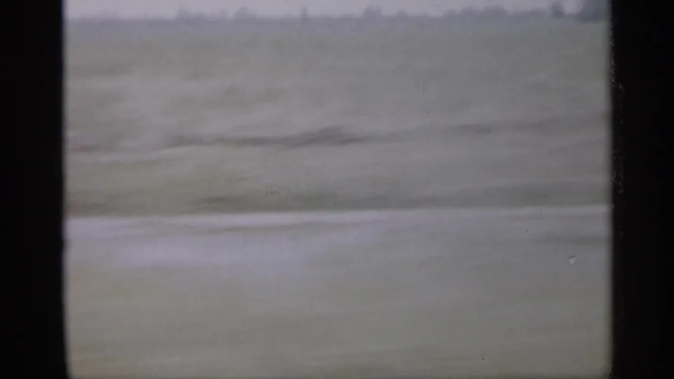 1958 New Jersey 8mm frame with a broad, soft-focus field and faint distant trees, viewed through dark vehicle-window edges.
