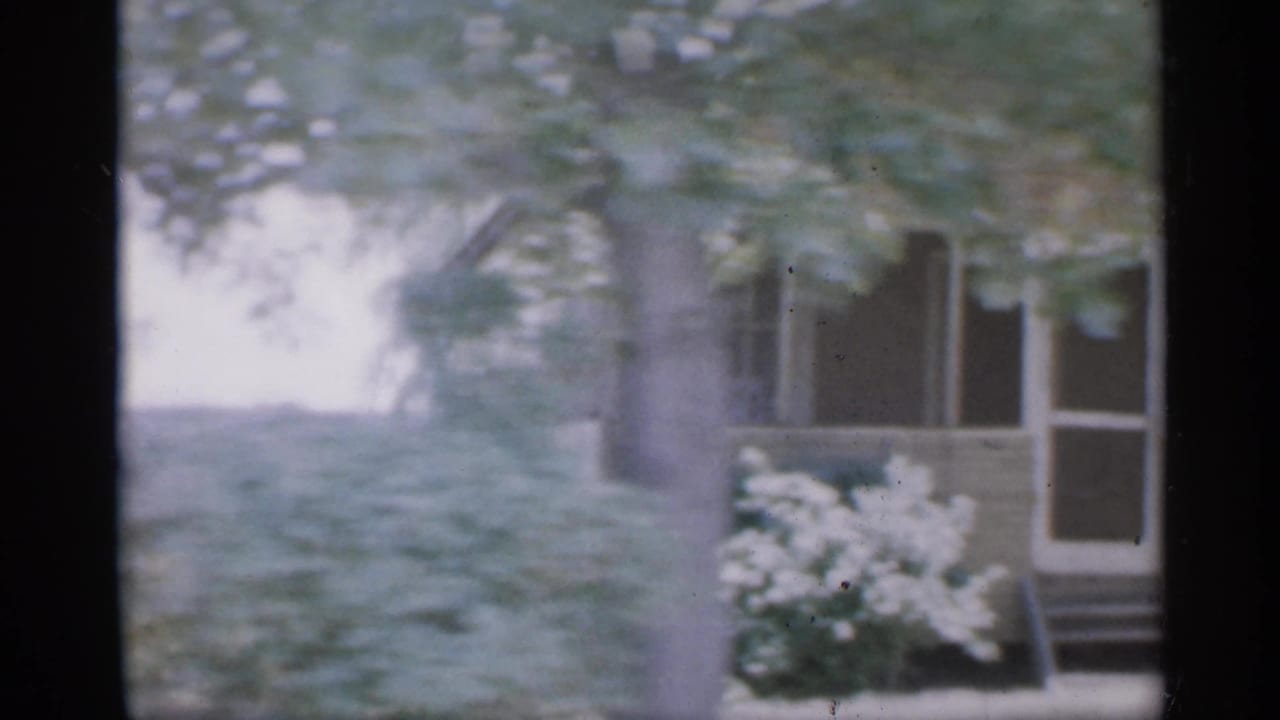 House corner and porch windows seen through branches, with yard and tree in the foreground.