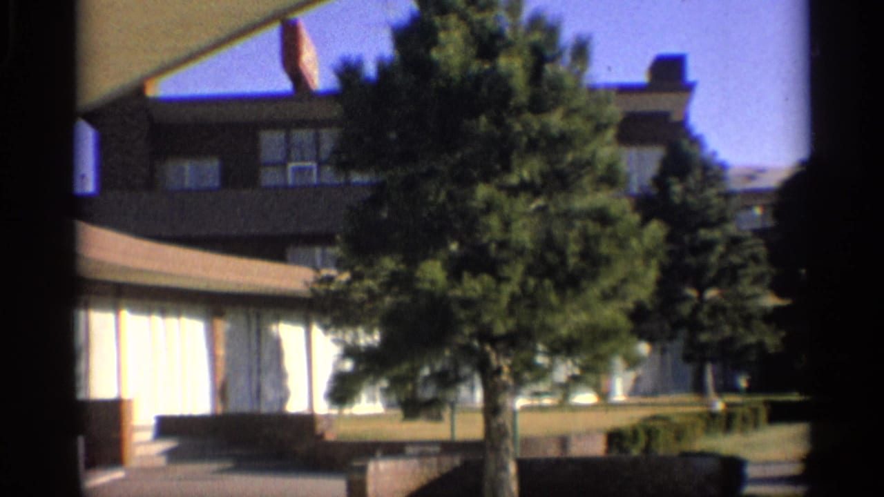 Low-rise motel exterior partly framed by a tree and lawn.