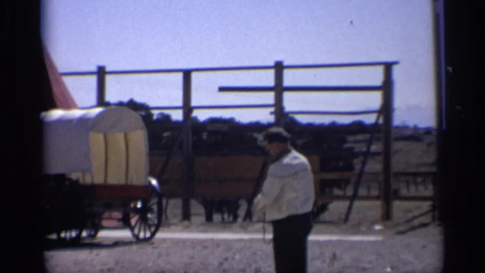 1959 Arizona home-movie frame showing an adult man near a covered wagon, wooden fence, and dark animals under a bright sky.