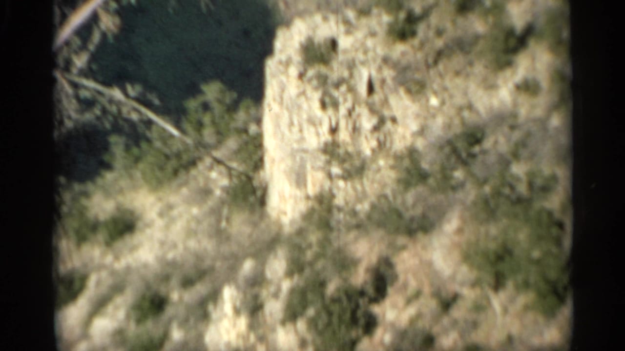 Rocky hillside with sparse shrubs and dry brush in bright sun.