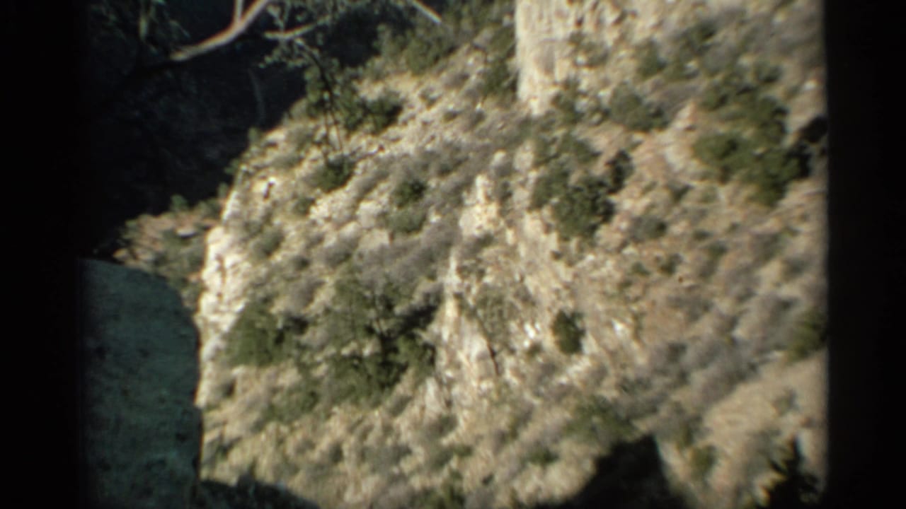 Rugged rock face with shrubs and a shadowed opening or recess.
