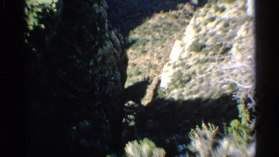 The final frame shifts to rocky mountain terrain with scrub vegetation, consistent with the surrounding Arizona high-country setting.