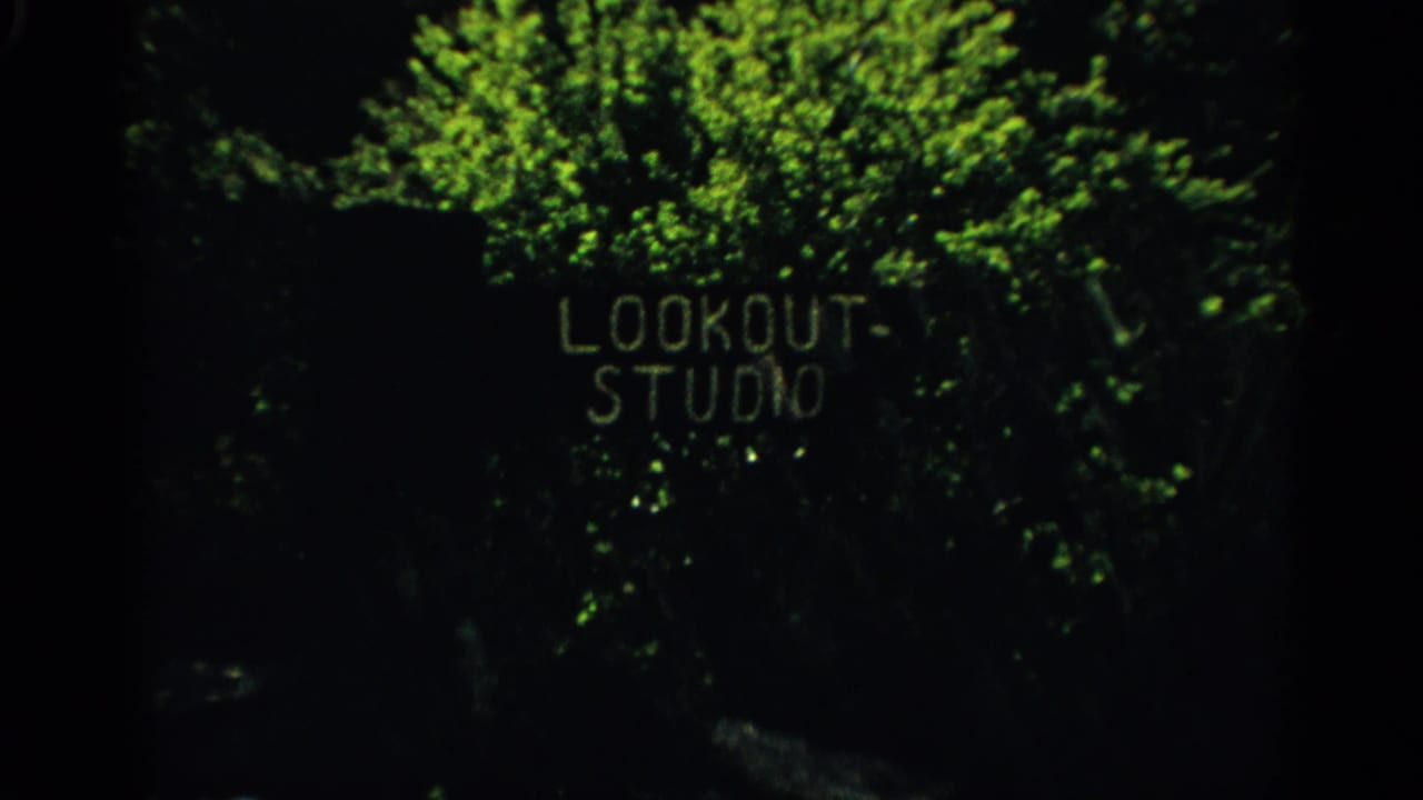 Dark foliage frames a Lookout Studio sign near the center-right of the frame.