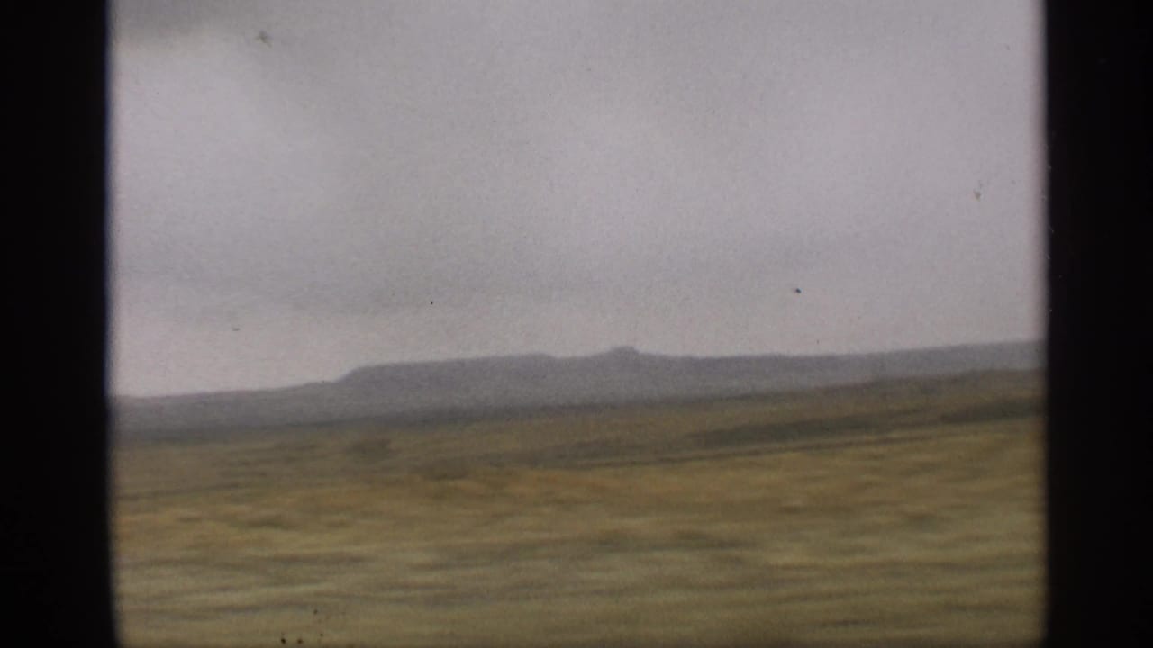 Distant mountain ridge beyond golden-green desert fields.