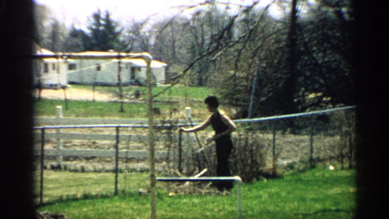 Person gardening beside a chain-link fence in a sunny backyard.