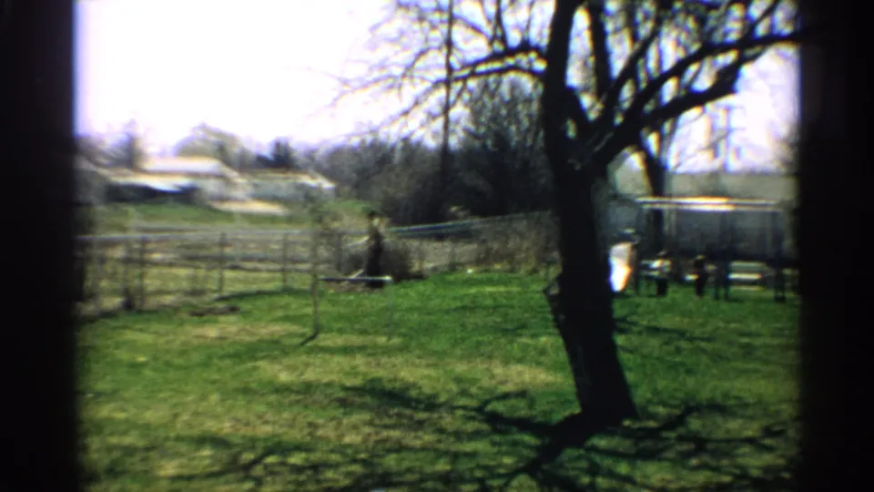A wider 1959 Arizona backyard view shows the person farther from camera near the fence, with a large tree, lawn, and garden area visible.